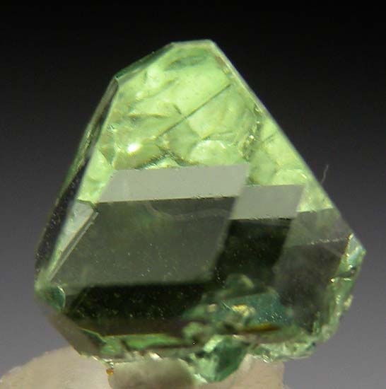 Tsavorite from Merelani Hills, Arusha, Tanzania [db_pics/pics/t692c.jpg]