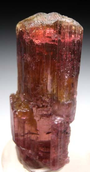 Tourmaline from Alto Ligonha, Mozambique [db_pics/pics/t718a.jpg]