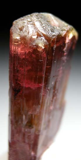 Tourmaline from Alto Ligonha, Mozambique [db_pics/pics/t718b.jpg]