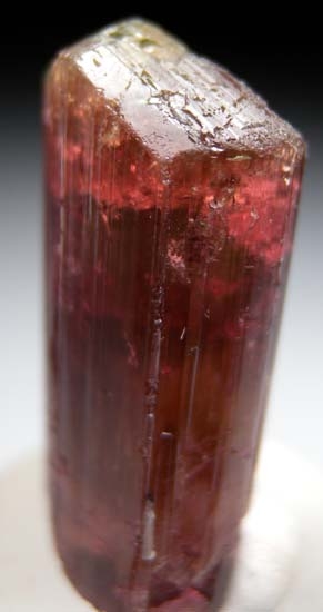 Tourmaline from Alto Ligonha, Mozambique [db_pics/pics/t719b.jpg]