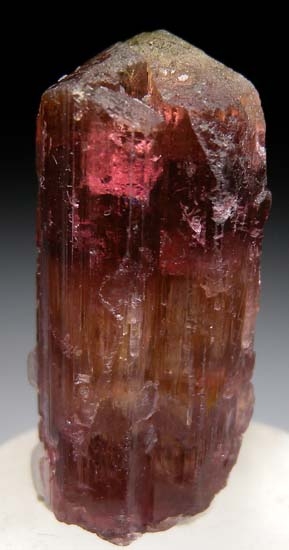 Tourmaline from Alto Ligonha, Mozambique [db_pics/pics/t719c.jpg]