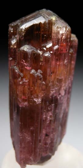 Tourmaline from Alto Ligonha, Mozambique [db_pics/pics/t721b.jpg]