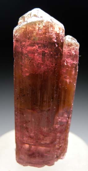 Tourmaline from Alto Ligonha, Mozambique [db_pics/pics/t725c.jpg]