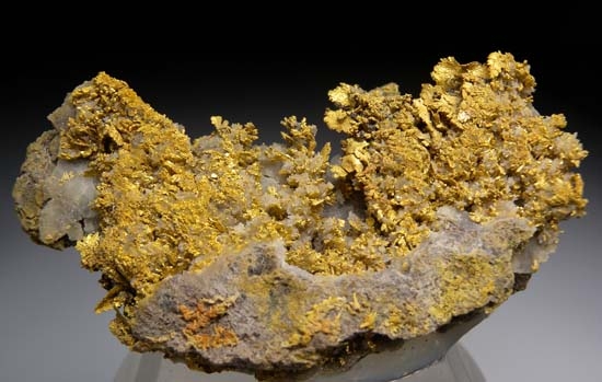 Gold from Rosia Montana (Verespatak), Alba Co., Transylvania, Romania [db_pics/pics/t728a.jpg]