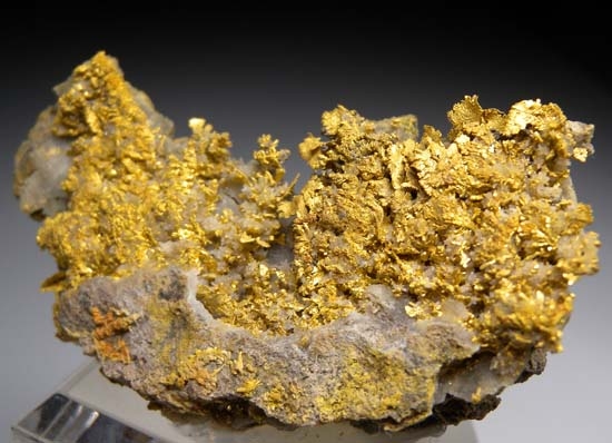 Gold from Rosia Montana (Verespatak), Alba Co., Transylvania, Romania [db_pics/pics/t728b.jpg]