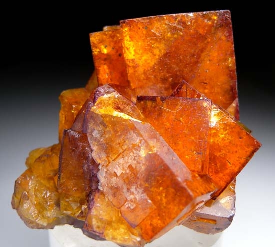 Fluorite from Wolsendorf Fluorite Mining District, Bavaria, Germany [db_pics/pics/t730a.jpg]