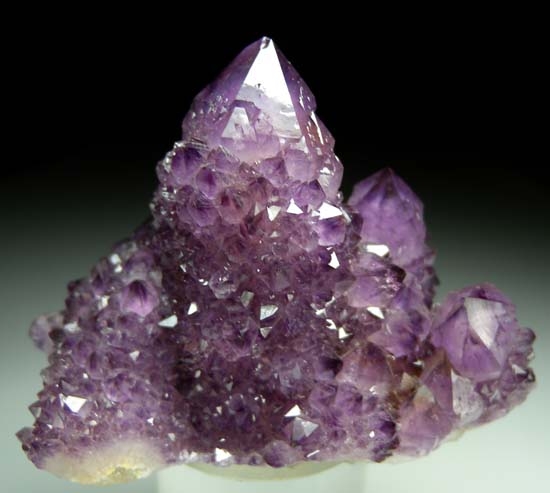 Amethyst from South Africa [db_pics/pics/t733a.jpg]