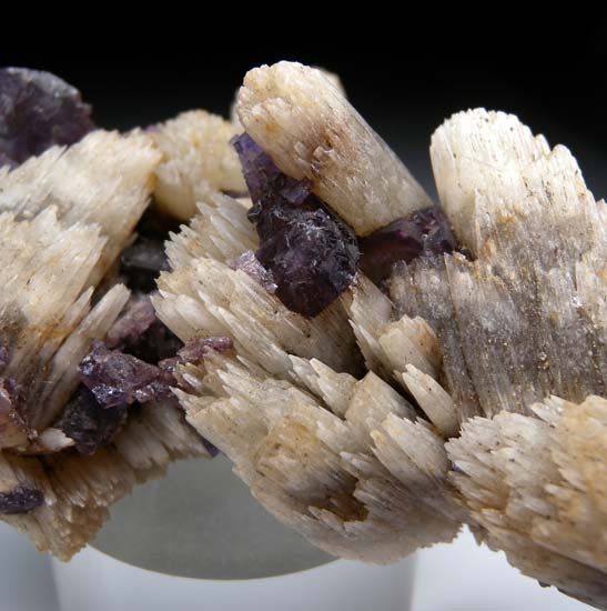 Fluorite on Calcite from Minerva Mine, Hardin Co., Illinois, USA [db_pics/pics/t739b.jpg]