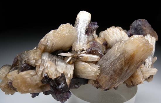 Fluorite on Calcite from Minerva Mine, Hardin Co., Illinois, USA [db_pics/pics/t739c.jpg]