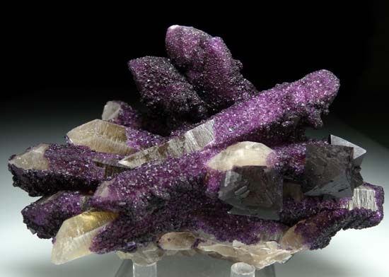 Fluorite on Quartz from Akchatau, Karaganda Oblast', Kazakhstan [db_pics/pics/t741a.jpg]