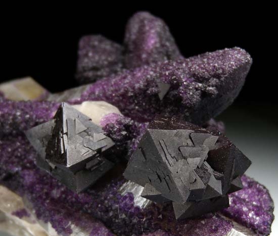 Fluorite on Quartz from Akchatau, Karaganda Oblast', Kazakhstan [db_pics/pics/t741c.jpg]