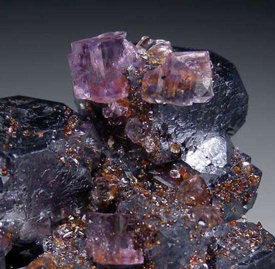 Fluorite, Sphalerite on Galena from Missouri, USA [db_pics/pics/t758d.jpg]