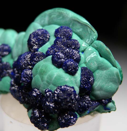 Azurite on Malachite from Bisbee, Cochise Co., Arizona, USA [db_pics/pics/t759c.jpg]