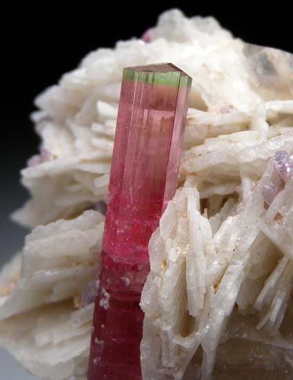 Elbaite on Albite from Himalaya Mine, Mesa Grande, San Diego Co., California, USA [db_pics/pics/t769b.jpg]