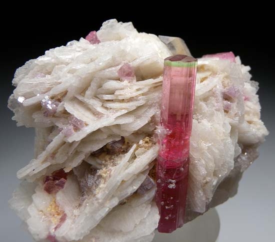 Elbaite on Albite from Himalaya Mine, Mesa Grande, San Diego Co., California, USA [db_pics/pics/t769c.jpg]
