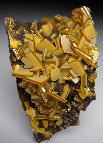 Wulfenite from Mina Ojuela, Mapimi, Durango, Mexico [db_pics/pics/t797a.jpg]