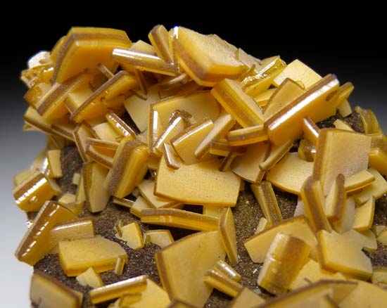 Wulfenite from Mina Ojuela, Mapimi, Durango, Mexico [db_pics/pics/t797b.jpg]