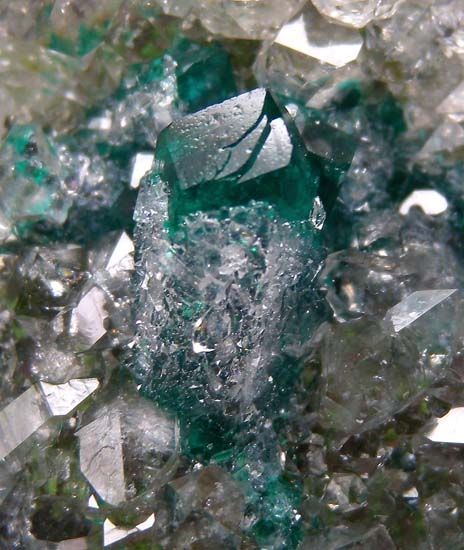 Quartz on Dioptase from Kaokaveld, Namibia [db_pics/pics/t803c.jpg]