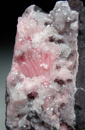 Kutnohorite with Quartz from N'Chwanning III Mine, Kuruman, South Africa [db_pics/pics/t804b.jpg]