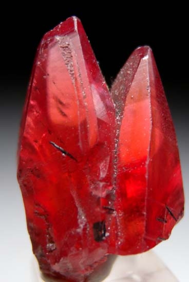 Rhodochrosite from N'Chwanning Mine, Kuruman, South Africa [db_pics/pics/t832a.jpg]