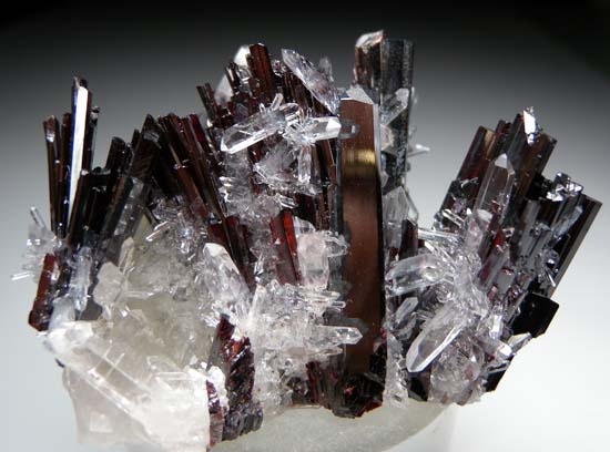 Huebnerite with Quartz from Huayllapon Mine, Pasto Bueno, Ancash Dept., Peru [db_pics/pics/t837a.jpg]