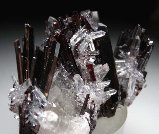Huebnerite with Quartz from Huayllapon Mine, Pasto Bueno, Ancash Dept., Peru [db_pics/pics/t837b.jpg]