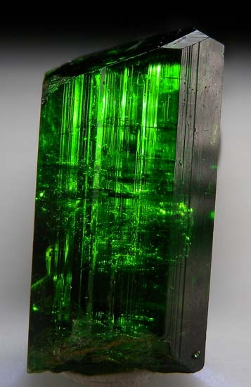 Dravite from Commander Mine, Nadonjukin, Simanjiro, Tanzania [db_pics/pics/t850b.jpg]