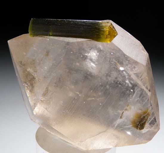 Tourmaline on Quartz from Stak Nala, Skardu, Pakistan [db_pics/pics/t861a.jpg]