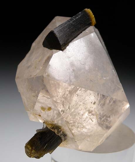 Tourmaline on Quartz from Stak Nala, Skardu, Pakistan [db_pics/pics/t861b.jpg]