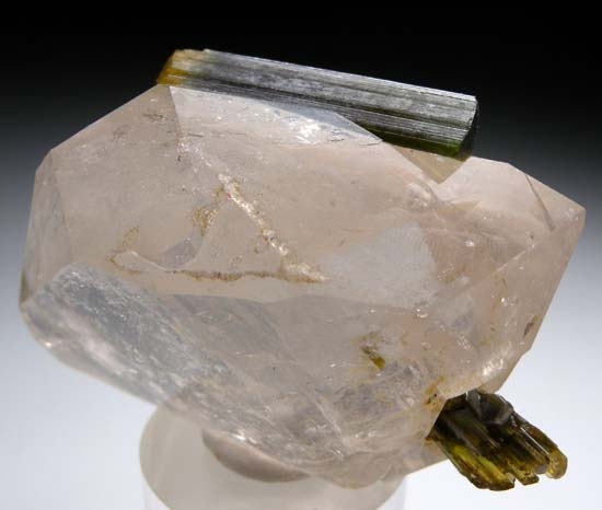 Tourmaline on Quartz from Stak Nala, Skardu, Pakistan [db_pics/pics/t861d.jpg]