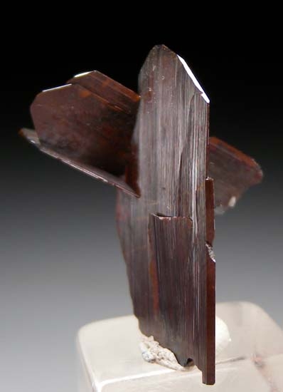 Brookite from Balochistan, Pakistan [db_pics/pics/t880b.jpg]
