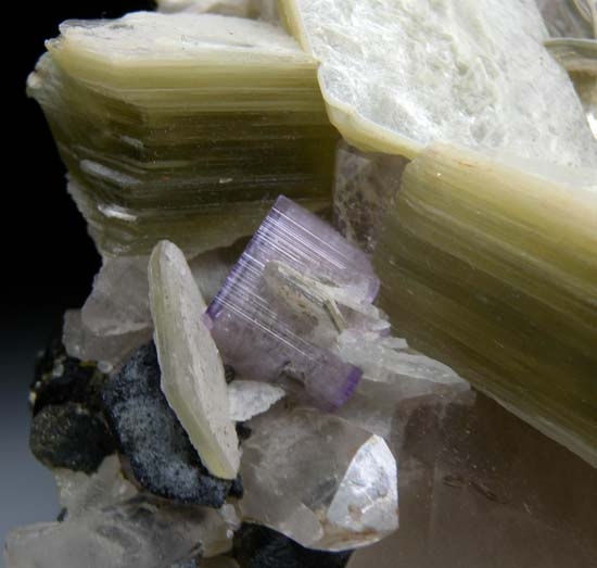 Apatite, Muscovite, Schorl from Kunar, Afghanistan [db_pics/pics/t903c.jpg]