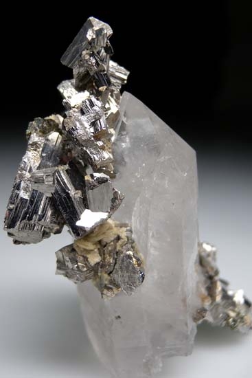 Arsenopyrite on Quartz from Panasquiera, Portugal [db_pics/pics/t909a.jpg]