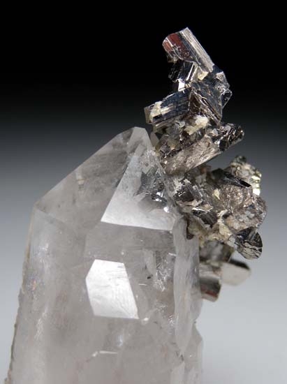 Arsenopyrite on Quartz from Panasquiera, Portugal [db_pics/pics/t909c.jpg]