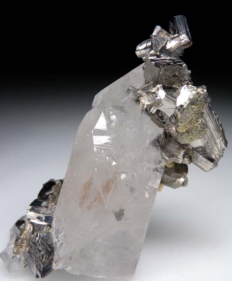 Arsenopyrite on Quartz from Panasquiera, Portugal [db_pics/pics/t909d.jpg]