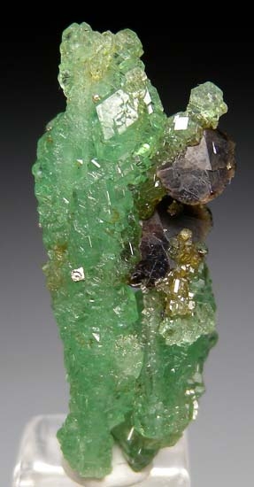 Tsavorite with Sphene, Pyrite from Merelani Hills, Arusha, Tanzania [db_pics/pics/t931a.jpg]