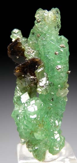 Tsavorite with Sphene, Pyrite from Merelani Hills, Arusha, Tanzania [db_pics/pics/t931c.jpg]