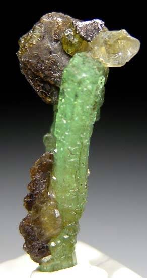 Tsavorite with Sphene, Diopside, Pyrite from Merelani Hills, Arusha, Tanzania [db_pics/pics/t935a.jpg]