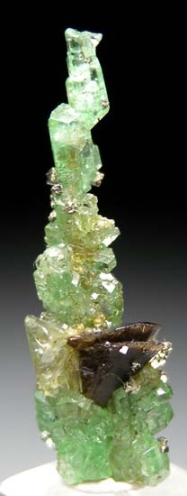 Tsavorite with Sphene, Diopside, Pyrite from Merelani Hills, Arusha, Tanzania [db_pics/pics/t938a.jpg]