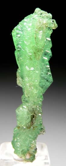 Tsavorite with Diopside from Merelani Hills, Arusha, Tanzania [db_pics/pics/t939c.jpg]