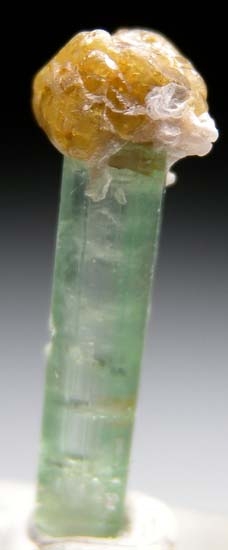Microlite on Tourmaline from Paprok, Afghanistan [db_pics/pics/t941a.jpg]