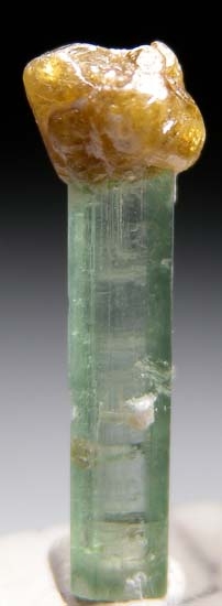 Microlite on Tourmaline from Paprok, Afghanistan [db_pics/pics/t941b.jpg]