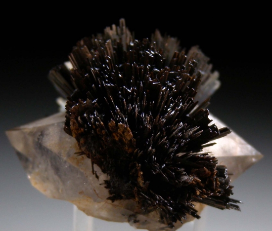 Goethite on Quartz from Tichka Massif, High Atlas Mtns., Morocco [db_pics/pics/tr104b.jpg]
