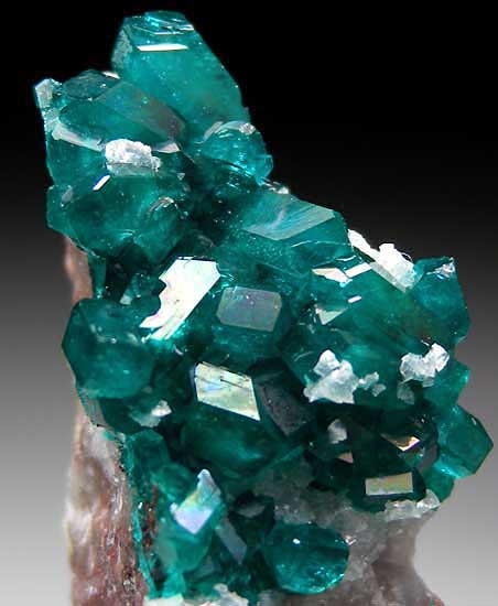 Dioptase from Tsumeb Mine, Namibia [db_pics/pics/ts174b.jpg]