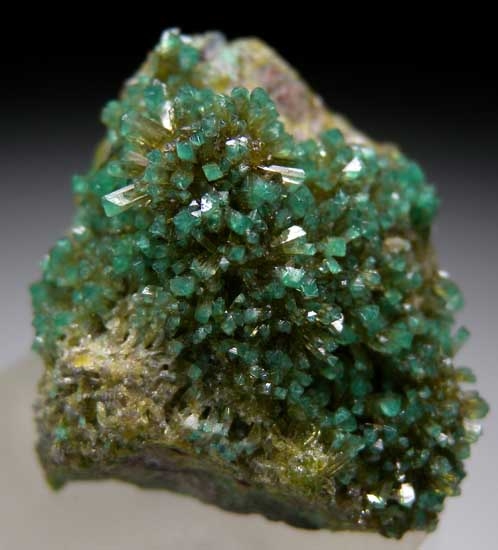 Zincolivenite from Tsumeb, Namibia [db_pics/pics/ts232a.jpg]
