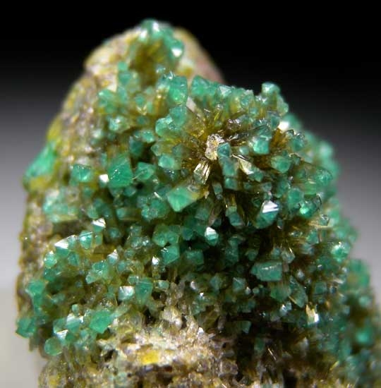 Zincolivenite from Tsumeb, Namibia [db_pics/pics/ts232b.jpg]