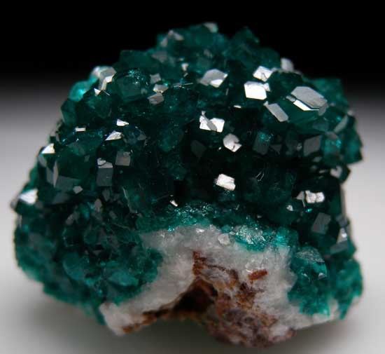 Dioptase from Tsumeb, Namibia [db_pics/pics/ts247b.jpg]