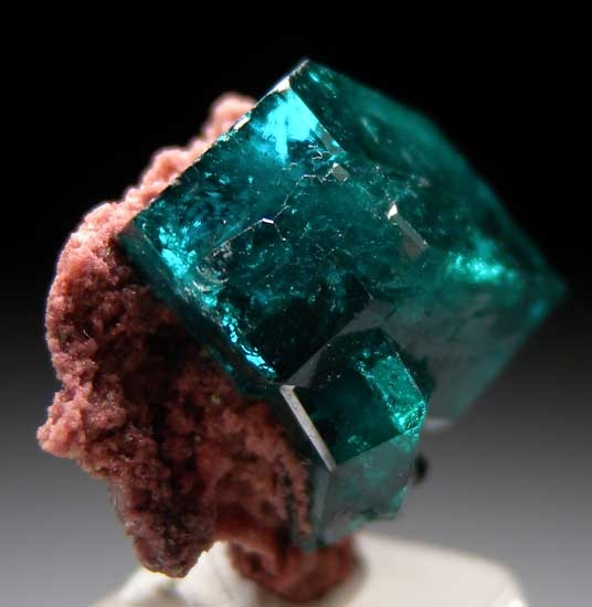 Dioptase from Tsumeb, Namibia [db_pics/pics/ts251b.jpg]