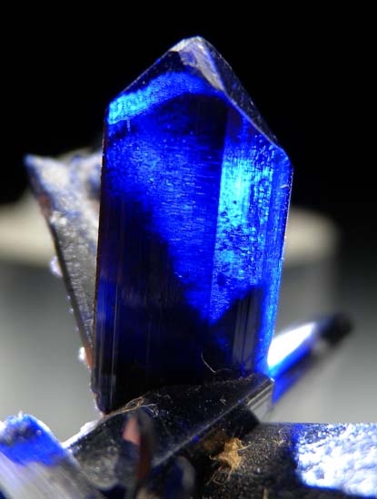 Azurite from Tsumeb, Namibia [db_pics/pics/ts254c.jpg]