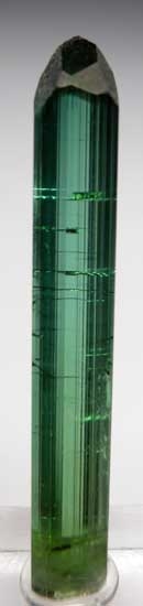 Elbaite from Chia Mine, Sao Jose da Safira, Minas Gerais, Brazil [db_pics/pics/tu102a.jpg]